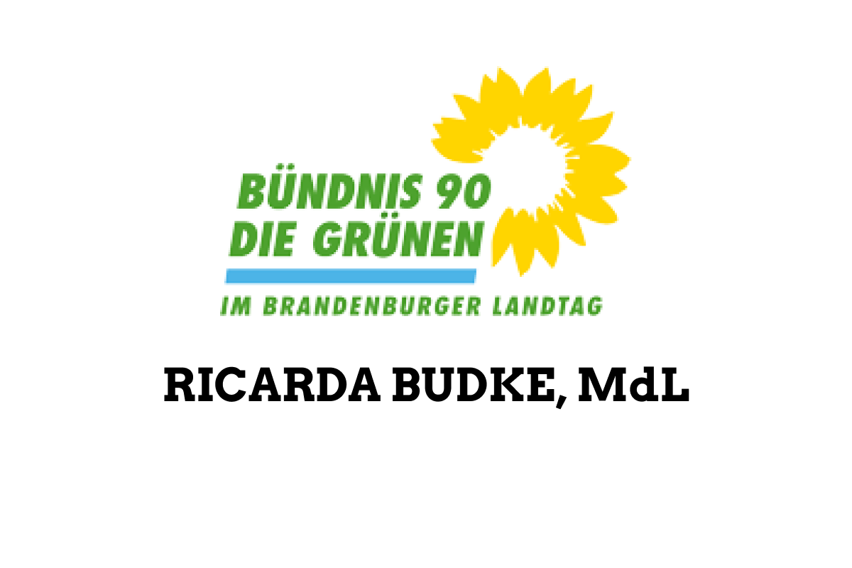 Ricarda Budke MdL Logo